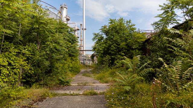 Poza produs Steaua Romana: Portretul unei Rafinarii centenare