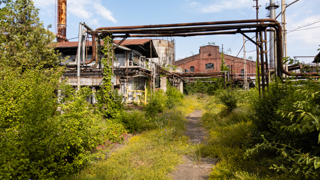 Poza produs Steaua Romana: Portretul unei Rafinarii centenare