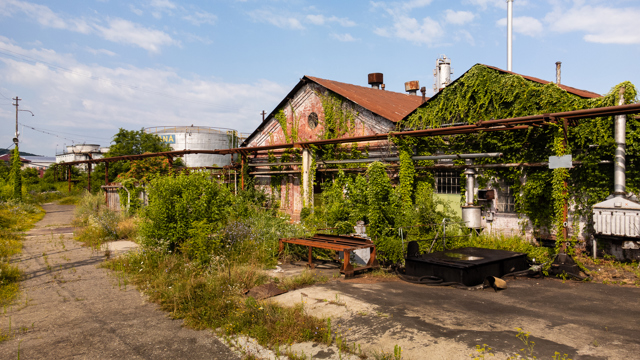 Poza produs Steaua Romana: Portretul unei Rafinarii centenare
