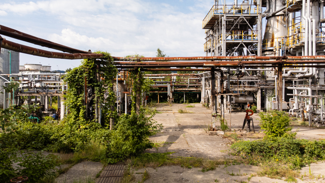 Poza produs Steaua Romana: Portretul unei Rafinarii centenare